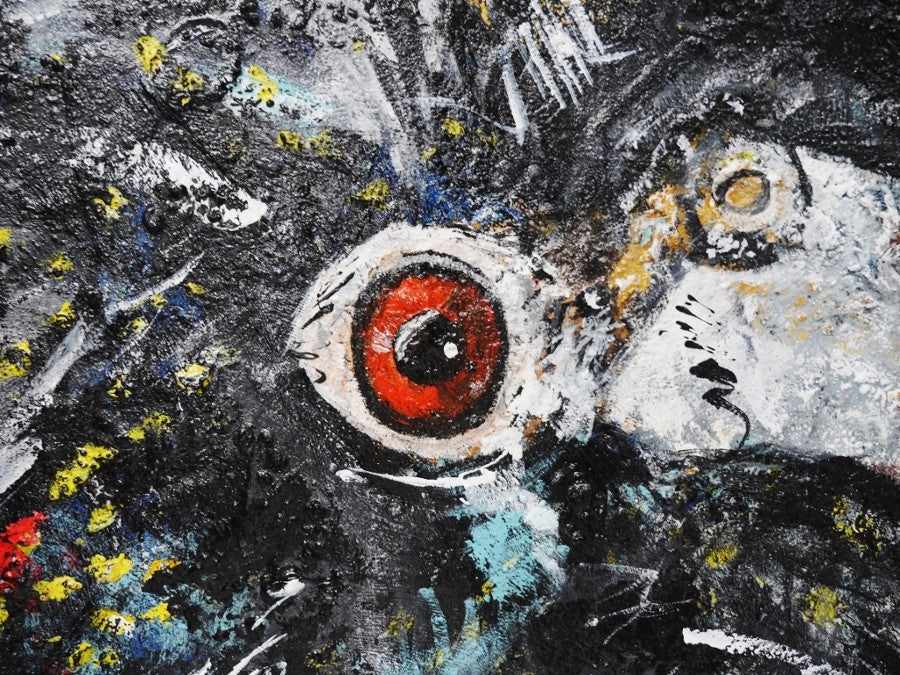 Be Inspired! Abstract Realism Black Cockatoo (SOLD)-abstract realism-[Franko_Artist]-[The_Block]-[Dream_Homes]-[ideas]- [Grand_Designs]-Franklin Art Studio