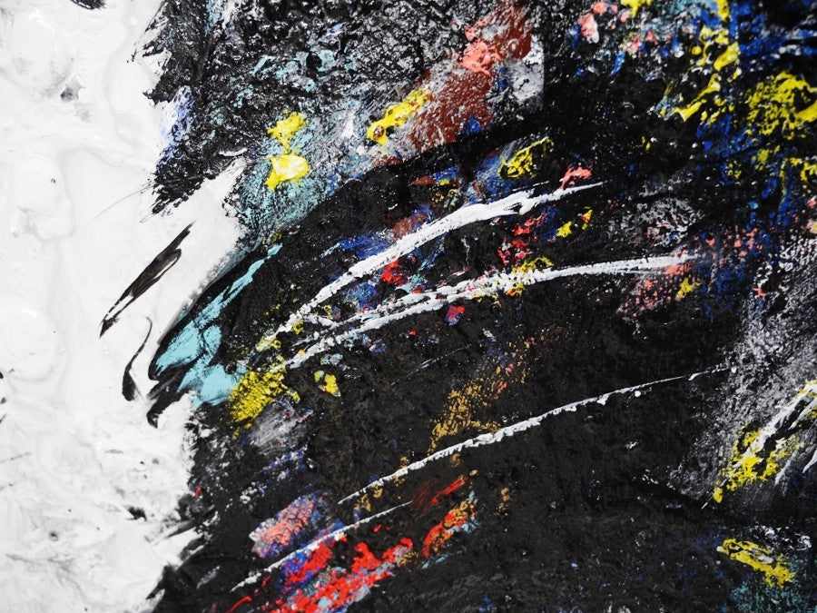 Be Inspired! Abstract Realism Black Cockatoo (SOLD)-abstract realism-[Franko_Artist]-[The_Block]-[Dream_Homes]-[ideas]-[Grand_Designs]-[Art_Lover]-Franklin Art Studio