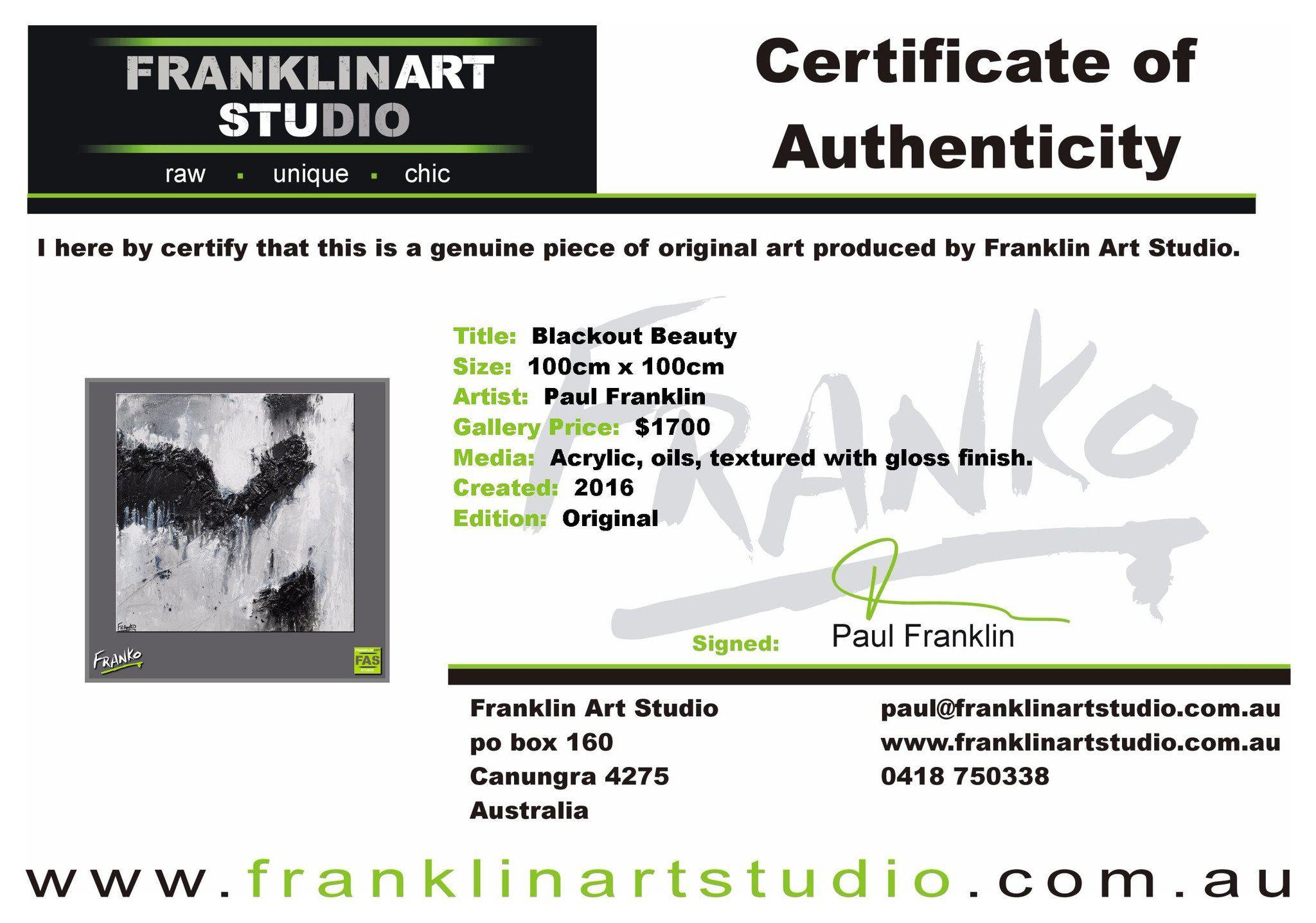 Blackout Beauty 100cm x 100cm Black and White Abstract Painting (SOLD)-abstract-[Franko_Artist]-[The_Block]-[Dream_Homes]-[ideas]-[Grand_Designs]-[Art_Lover]-Franklin Art Studio