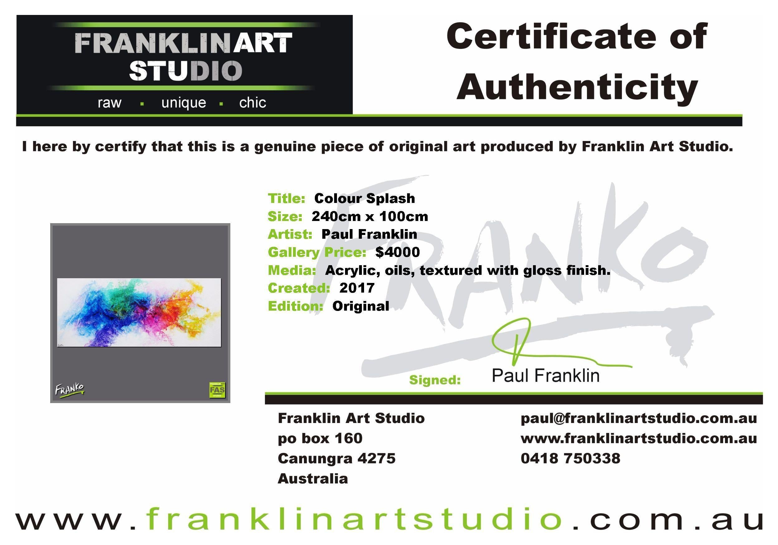 Colour Splash 240cm x 100cm Colourful Abstract Painting (SOLD)-abstract-[Franko_Artist]-[The_Block]-[Dream_Homes]-[ideas]-[Grand_Designs]-[Art_Lover]-Franklin Art Studio