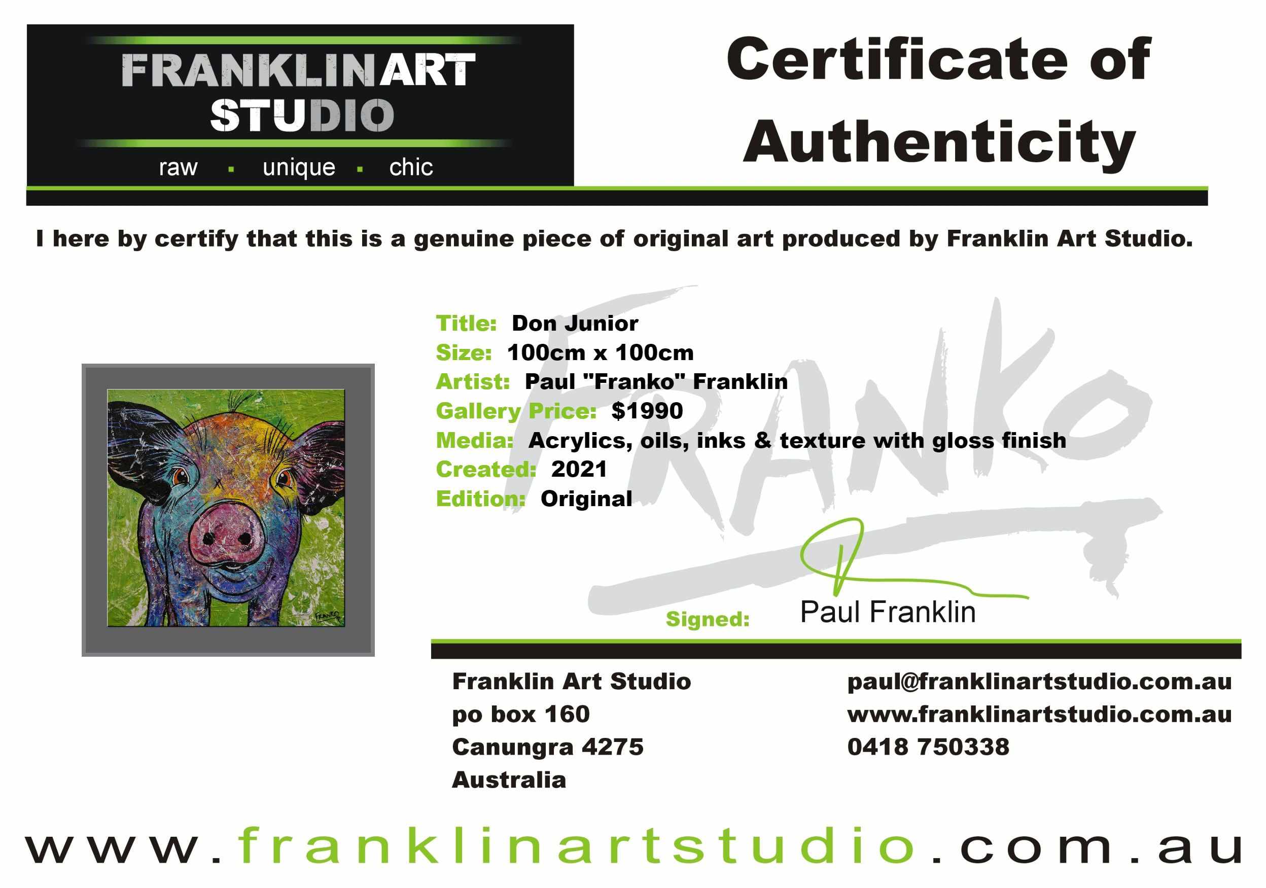 Don Junior 100cm x 100cm Pig Textured Abstract Realism Painting (SOLD)-abstract realism-[Franko_Artist]-[The_Block]-[Dream_Homes]-[ideas]-[Grand_Designs]-[Art_Lover]-Franklin Art Studio