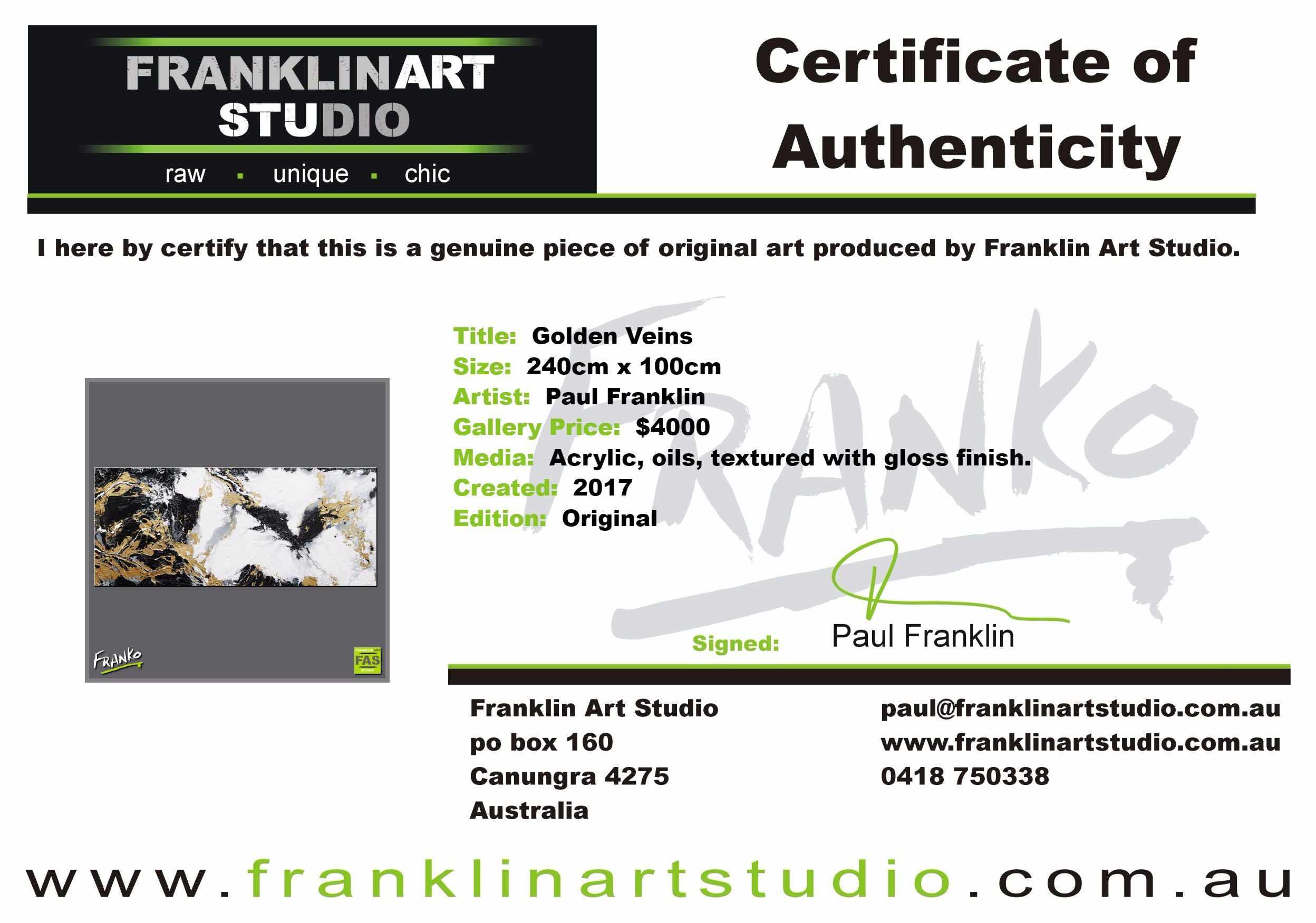 Golden Veins 240cm x 100cm Gold Black White Abstract Painting (SOLD)-abstract-[Franko_Artist]-[The_Block]-[Dream_Homes]-[ideas]-[Grand_Designs]-[Art_Lover]-Franklin Art Studio