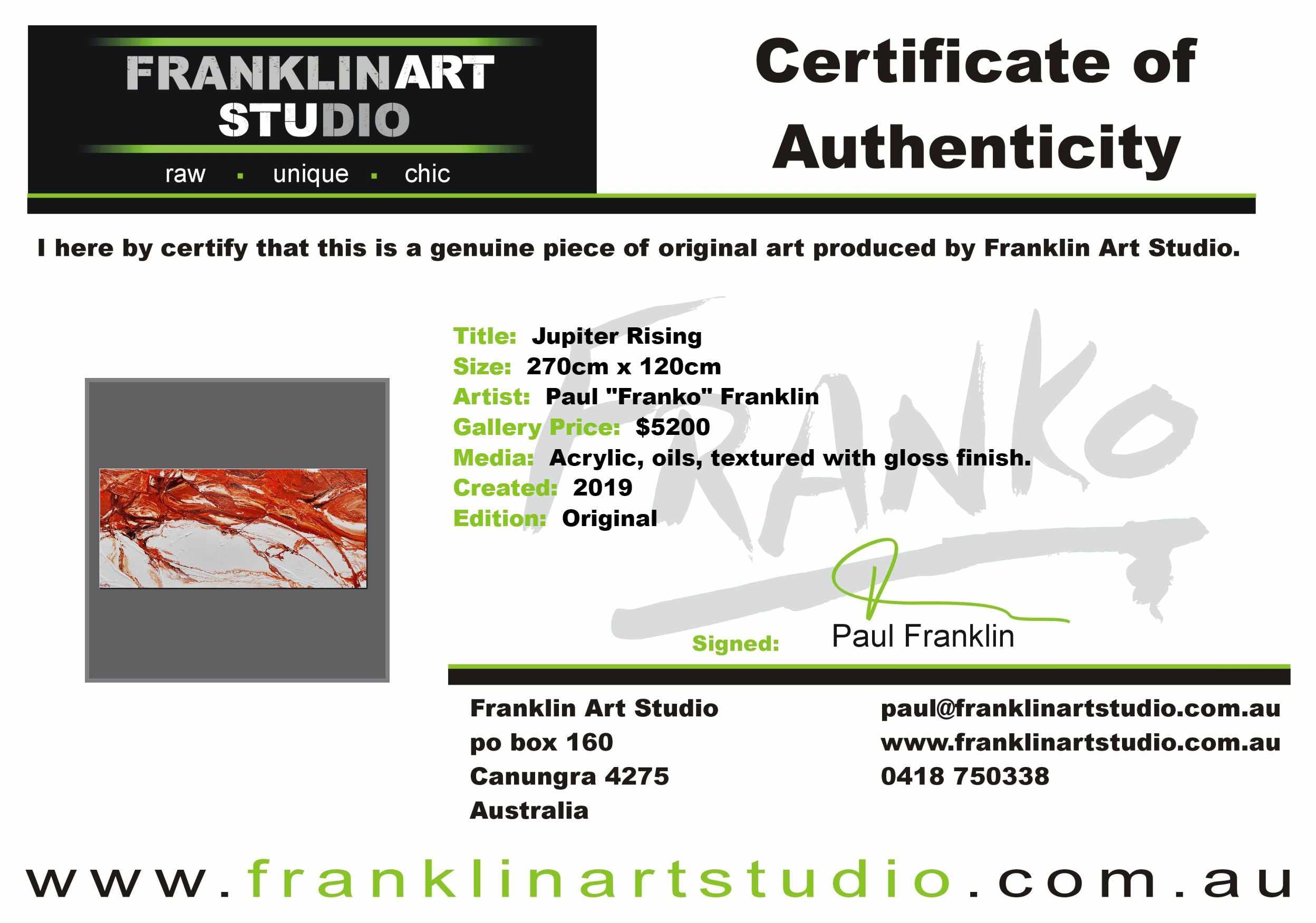 Jupiter Rising 270cm x 120cm Brown White Textured Abstract Painting (SOLD)-Abstract-[Franko_Artist]-[The_Block]-[Dream_Homes]-[ideas]-[Grand_Designs]-[Art_Lover]-Franklin Art Studio