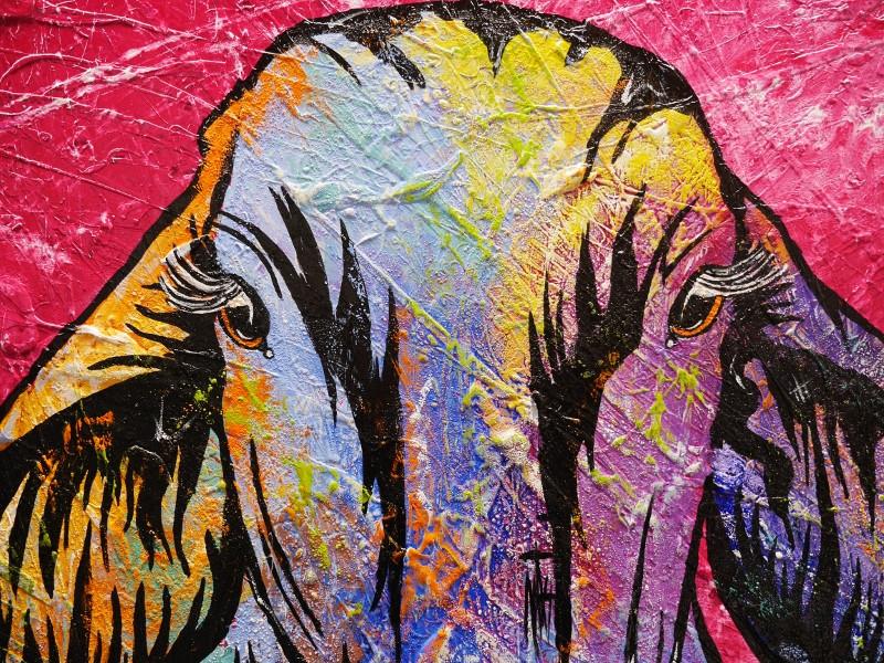 Molly 120cm x 120cm Droughtmaster Cow Painting (SOLD)