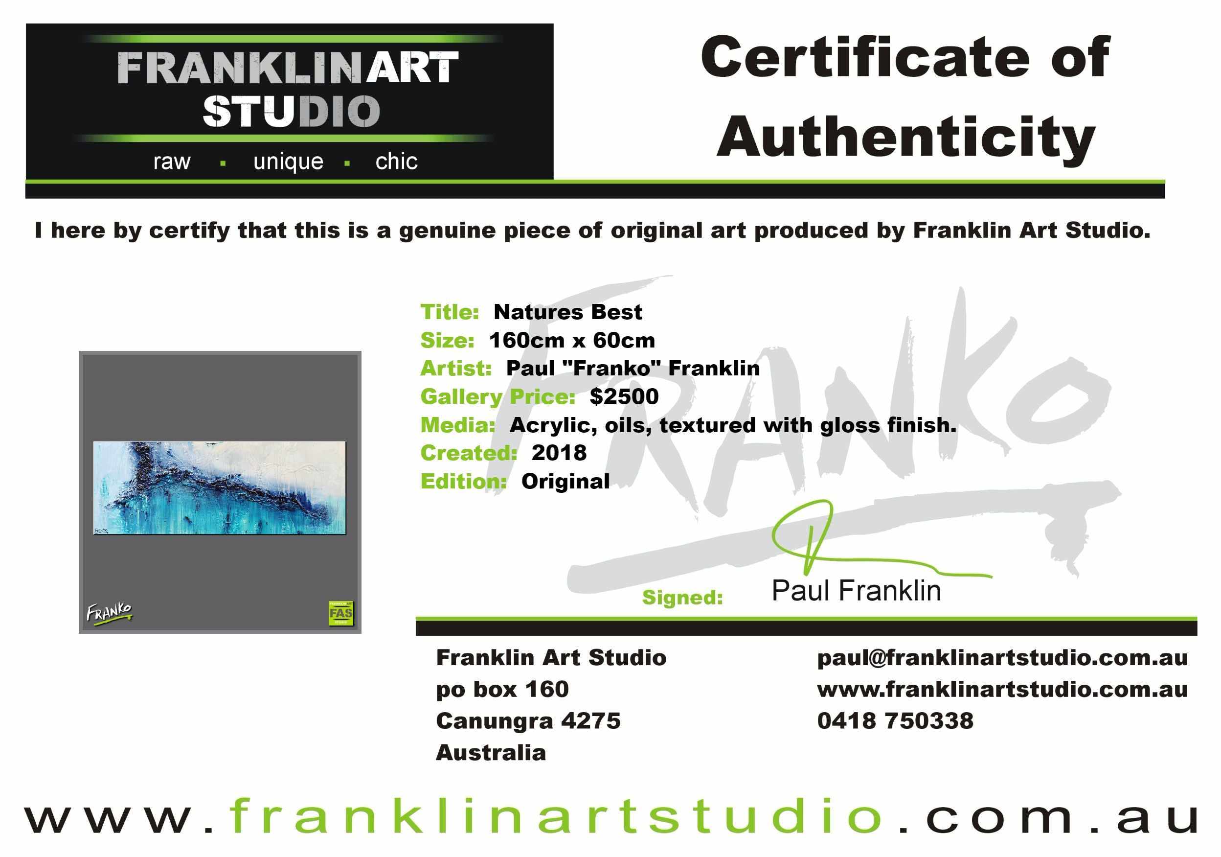 Natures Best 160cm x 60cm Blue Abstract Painting (SOLD)-Abstract-[Franko_Artist]-[The_Block]-[Dream_Homes]-[ideas]-[Grand_Designs]-[Art_Lover]-Franklin Art Studio