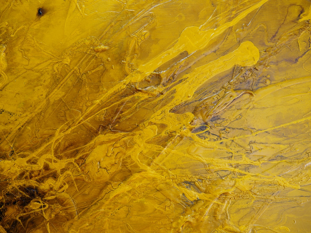 Seeded Sunflower 200cm x 80cm Sunflower Textured Abstract Painting (SOLD)