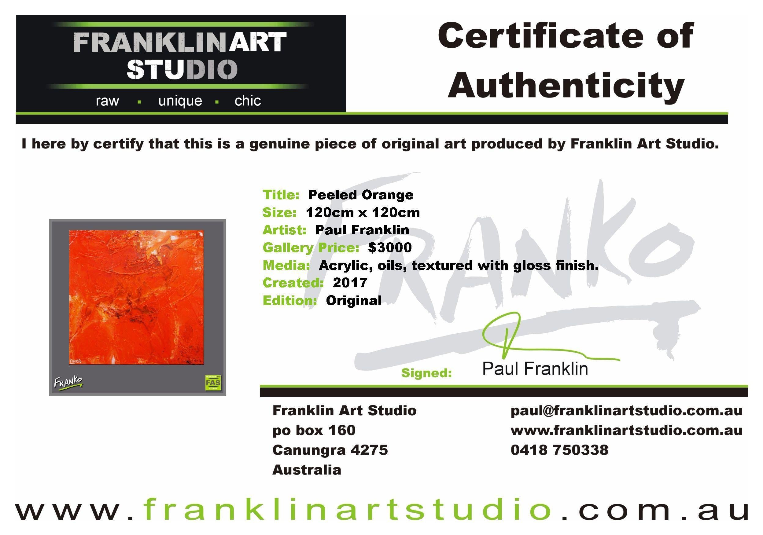 Peeled Orange 120cm x 120cm Orange Abstract Painting (SOLD)-abstract-[Franko_Artist]-[The_Block]-[Dream_Homes]-[ideas]-[Grand_Designs]-[Art_Lover]-Franklin Art Studio