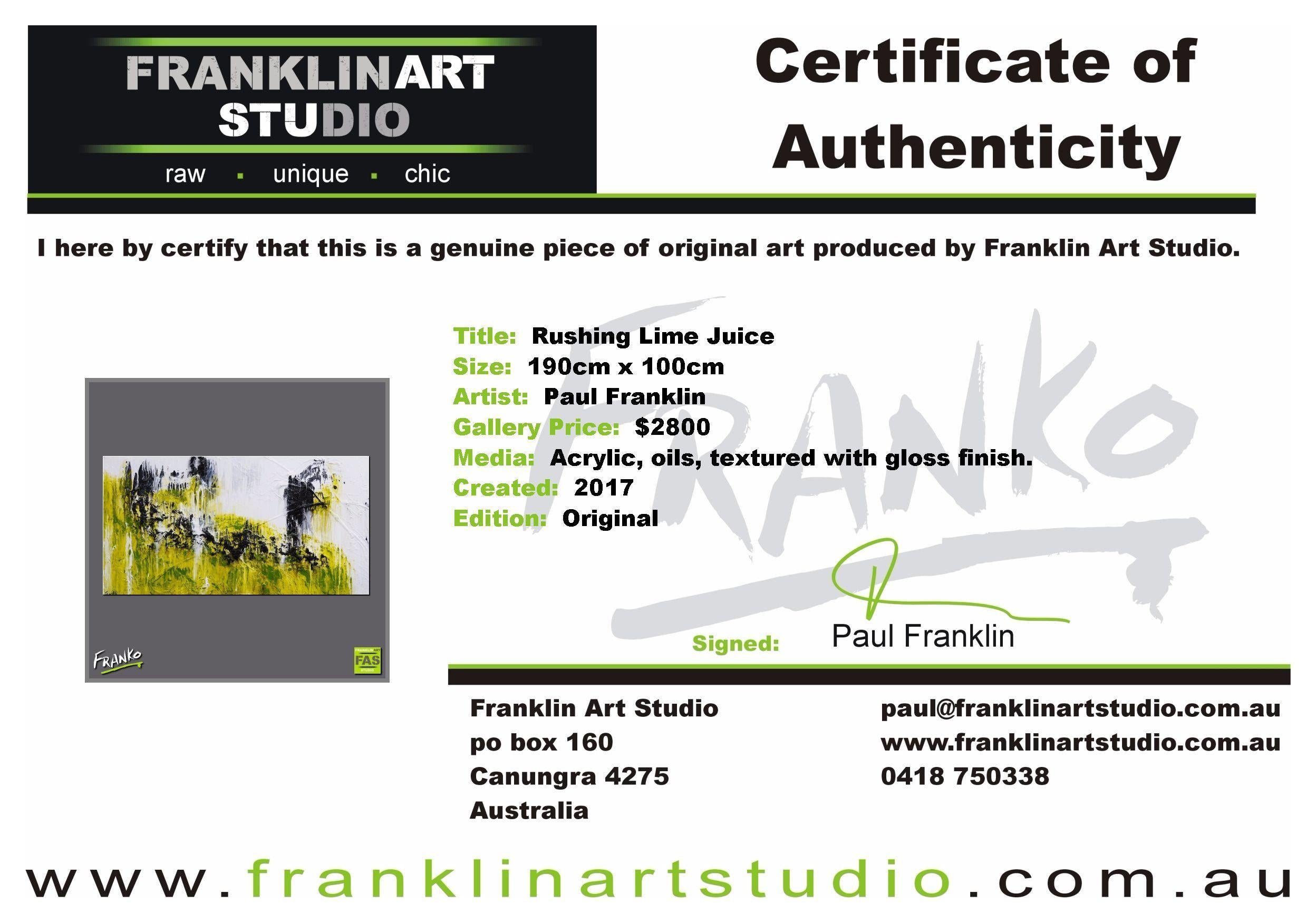Rushing Lime Juice 190cm x 100cm Green Abstract Painting (SOLD)-abstract-[Franko_Artist]-[The_Block]-[Dream_Homes]-[ideas]-[Grand_Designs]-[Art_Lover]-Franklin Art Studio