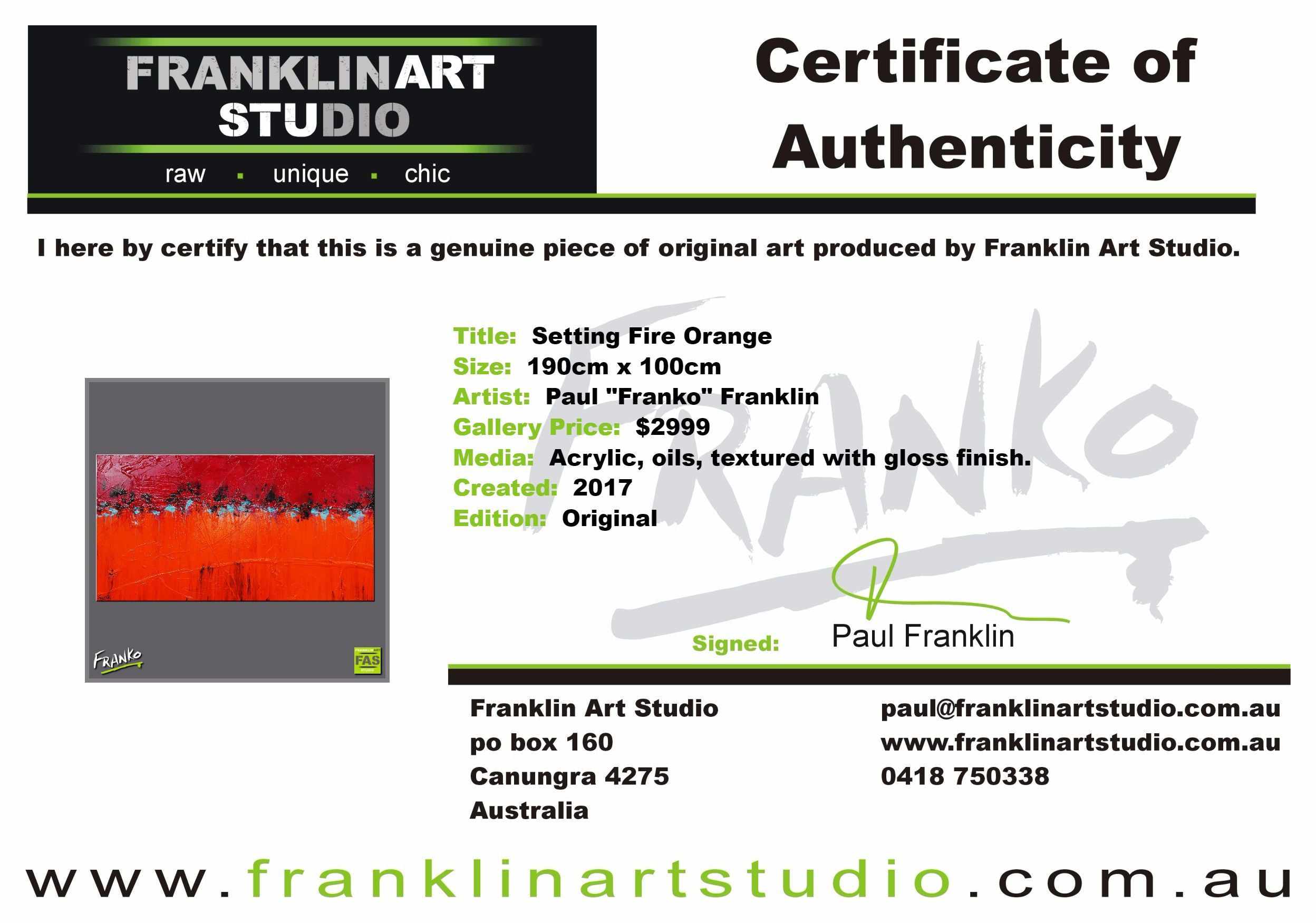 Setting Fire Orange 190cm x 100cm Red Orange Abstract Painting (SOLD)-abstract-[Franko_Artist]-[The_Block]-[Dream_Homes]-[ideas]-[Grand_Designs]-[Art_Lover]-Franklin Art Studio