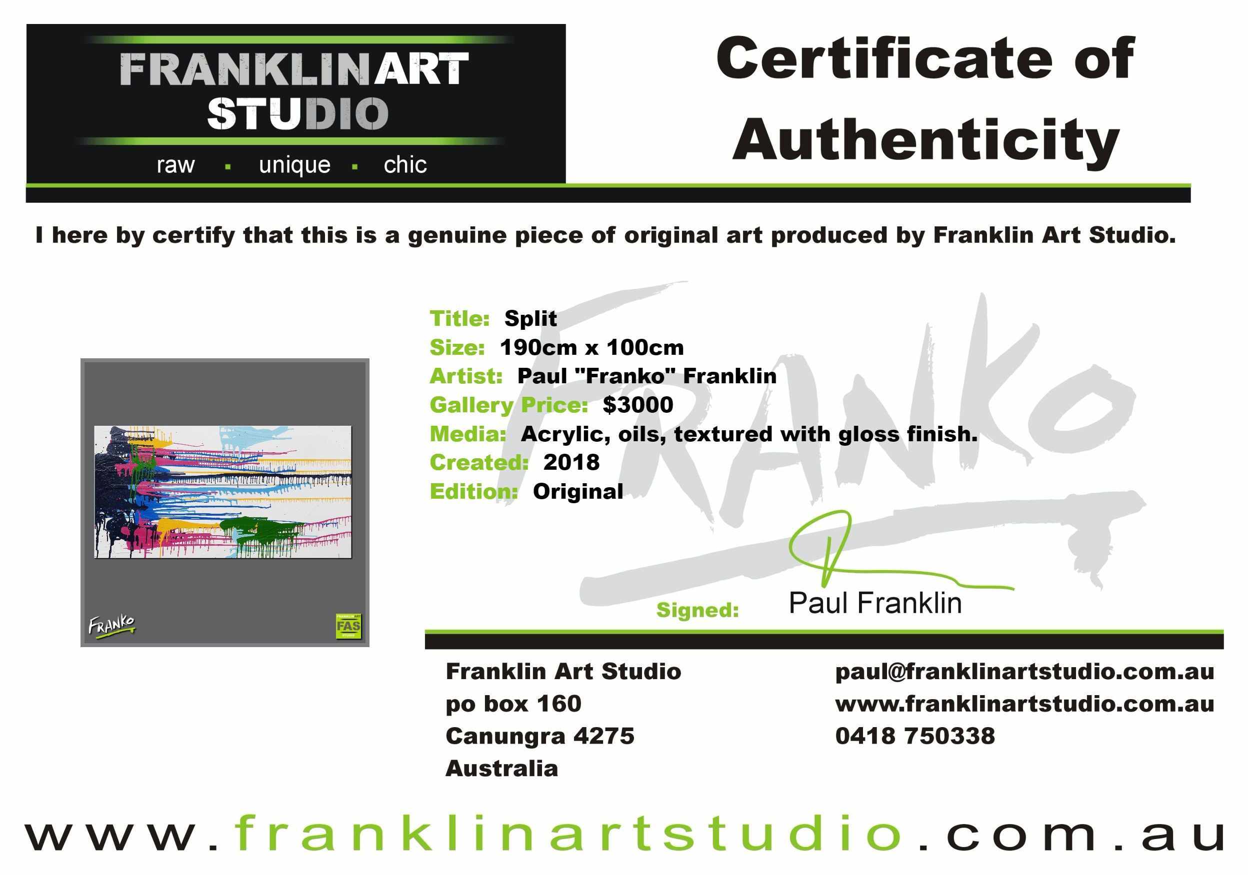 Split 190cm x 100cm White Colourful Abstract Painting (SOLD)-Abstract-[Franko_Artist]-[The_Block]-[Dream_Homes]-[ideas]-[Grand_Designs]-[Art_Lover]-Franklin Art Studio